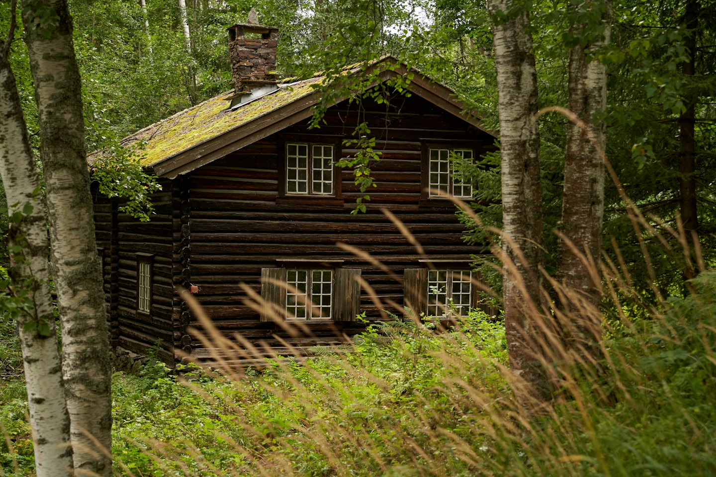 Sammaldunud katusega palkmaja rohelises metsas.